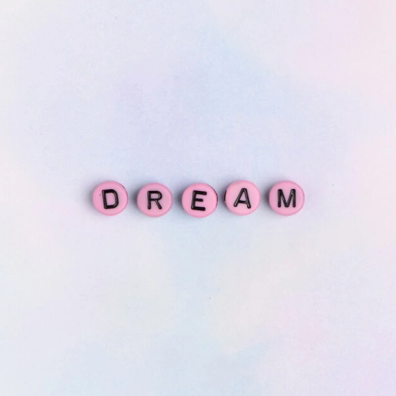 we dream