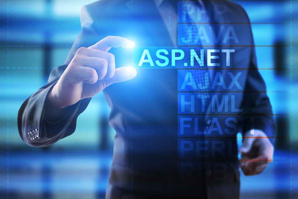 asp net development services 2024