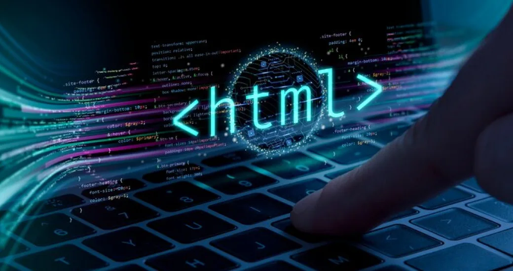 net developer job description